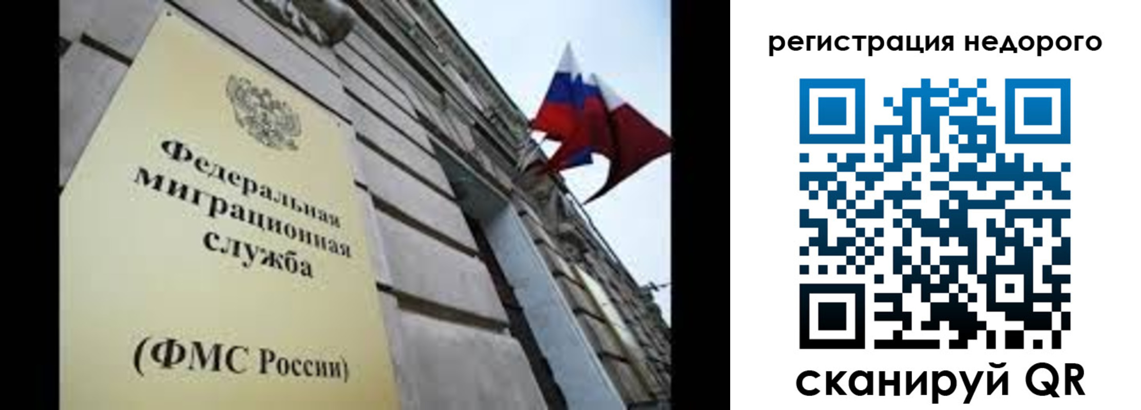 прописка поиск в Коле